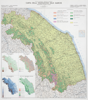 Carta della vegetazione delle marche (vegetazione naturale attuale) 50 x 57 cm, 1/ 300 000