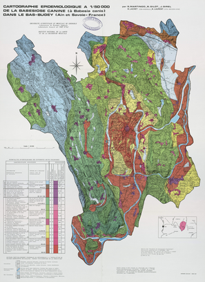 Cartographie épidémiologique de la babésiose canine (à Babesia canis) dans le Bas-Bugey (Ain et Savoie, France) 50 x 69 cm, 1/50 000