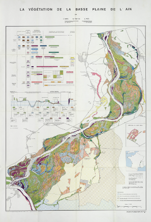 La végétation de la basse plaine de l'Ain 69 x 102 cm, 1/10 000