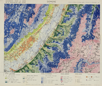 Feuille de Domène 50 x 60 cm, 1/50 000