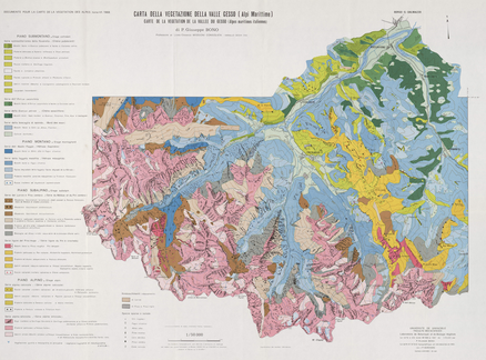 La vegetazione della valle Gesso (Alpi maritime) La végétation de la vallée du Gesso (Alpes Maritimes Italiennes) 53 x 73 cm, 1/50 000